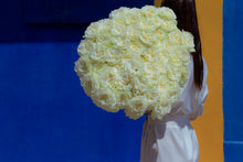 White Pure Long Stem Roses