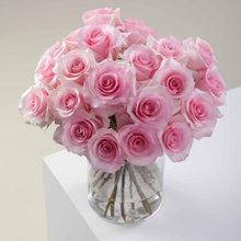 Pink Passion Long Stem Roses