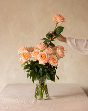 Cozy Peach Long Stem Roses