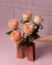 Cozy Peach Long Stem Roses