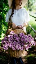 Purple Attraction Long Stem Roses