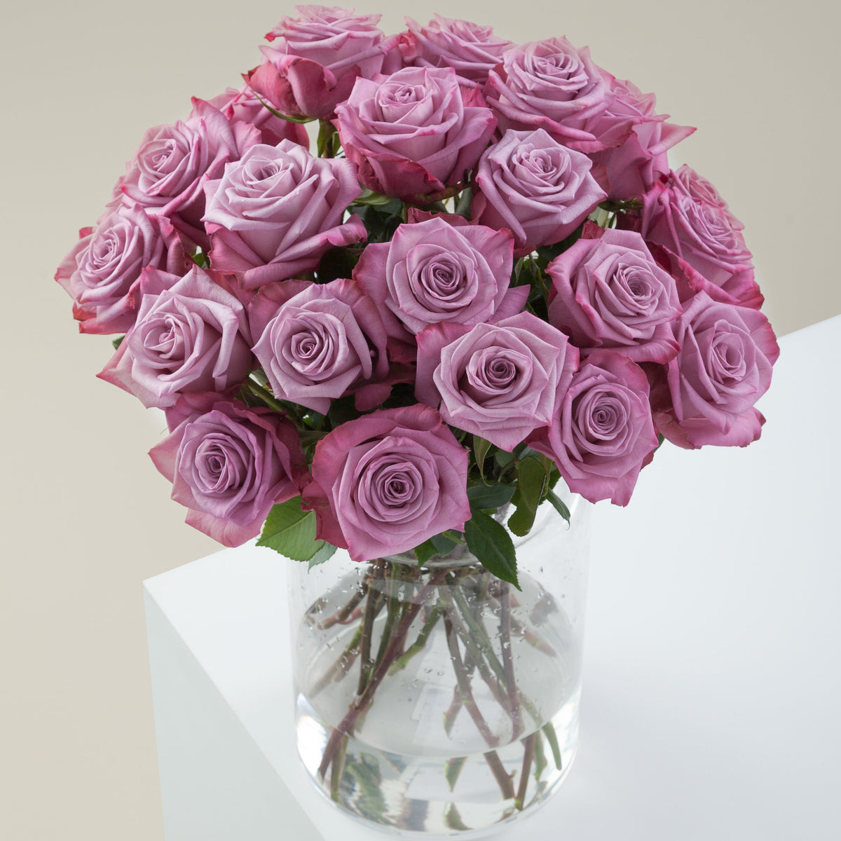 Magenta_bicolor_in_vase_1200x1
