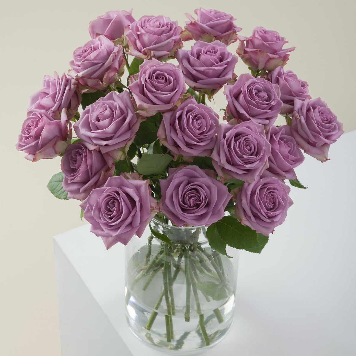 Purple & Pyrite  roses Metallic Purple Roses - Exotic Blooms Online| Flower Explosion main image 4