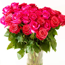 Mother's Day Special 24 Mixed Color Roses (StackCommerce Exclusive)