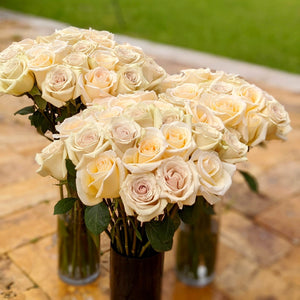 3 vases full of Cream color roses with hints of purple and orange. 