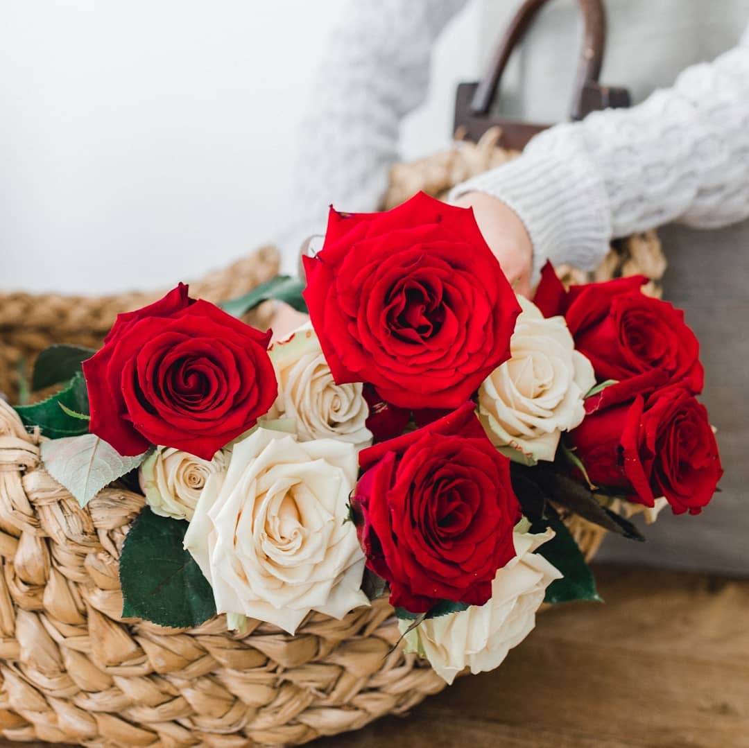 Brad's Deals Red Roses Rose Farmers