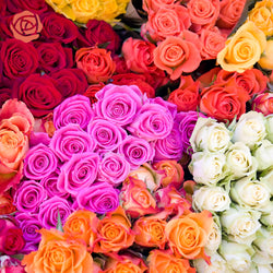 Close up bouquet stacked of purple, orange, cream, red, orange, and yellow roses