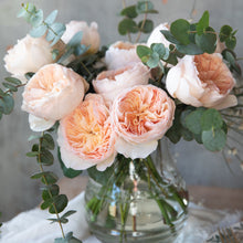 Glass vase arrangement a bouquet of Juliet roses with a distinctive full cupped rose with voluminous petals, that ombré beautifully from soft peach to warm apricot.
