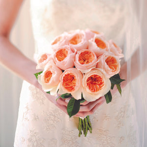 a bridal bouquet of Juliet roses - a distinctive full cupped rose with voluminous petals, that ombré beautifully from soft peach to warm apricot.