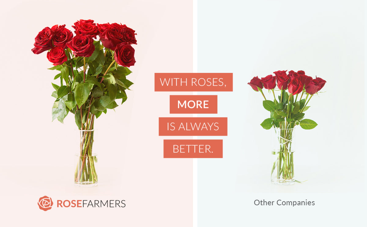 Rose Farmers, Farm Fresh Roses