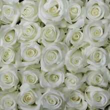 White Sympathy Bouquet