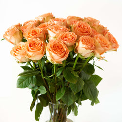 Bouquet of Orange Roses