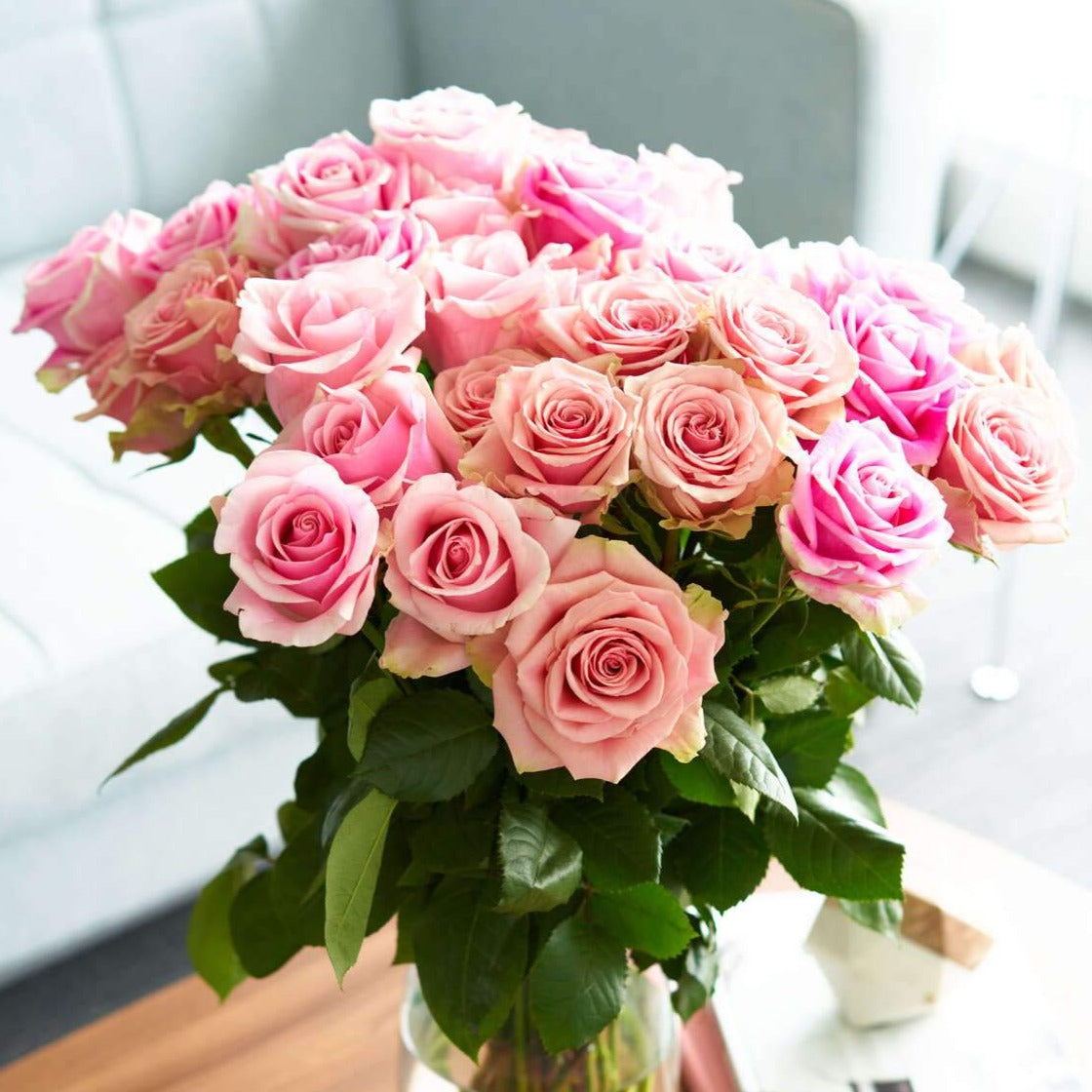 Brad's Deals All Stars – Rose Farmers