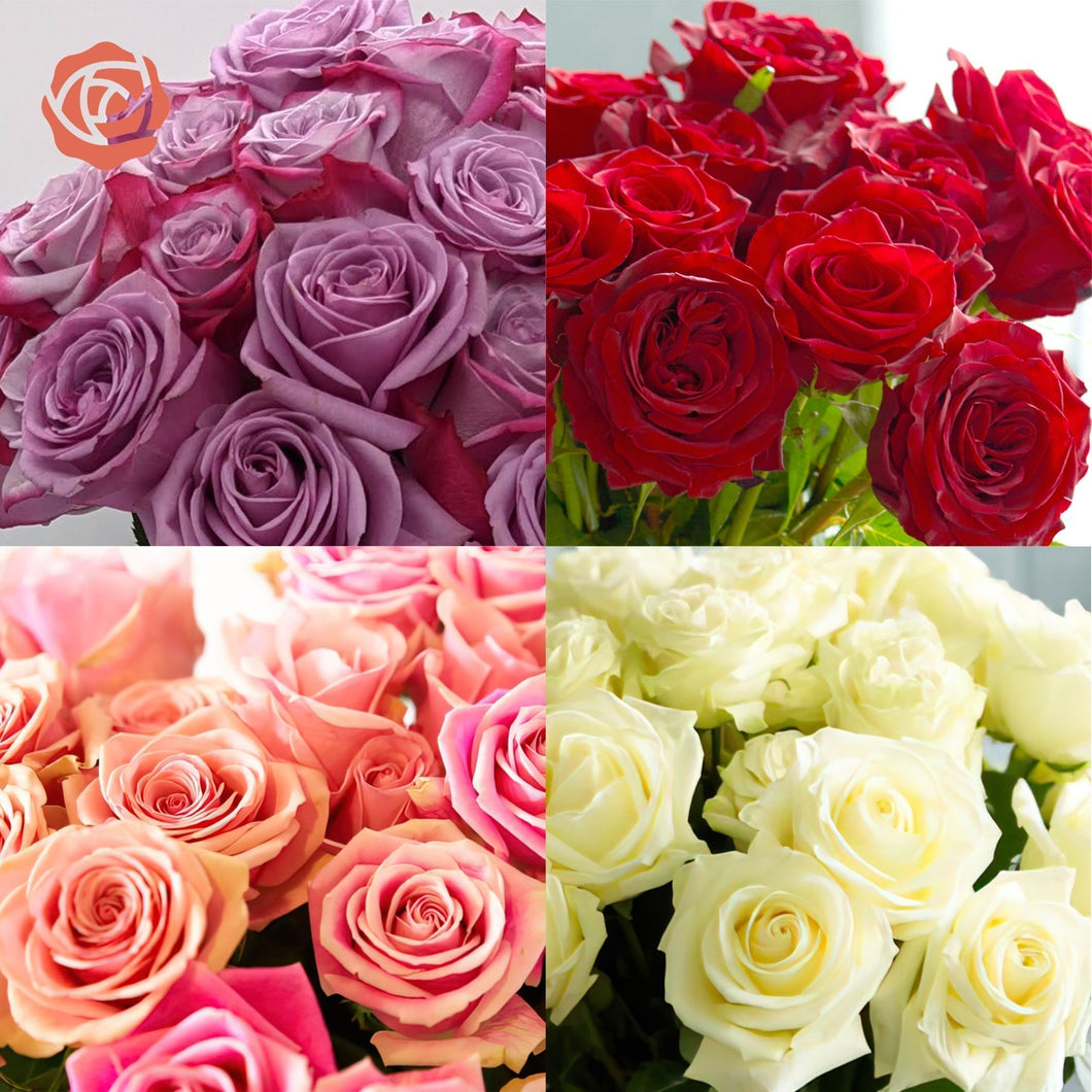 Exclusive: Farmer's Choice Roses plus Free Shipping