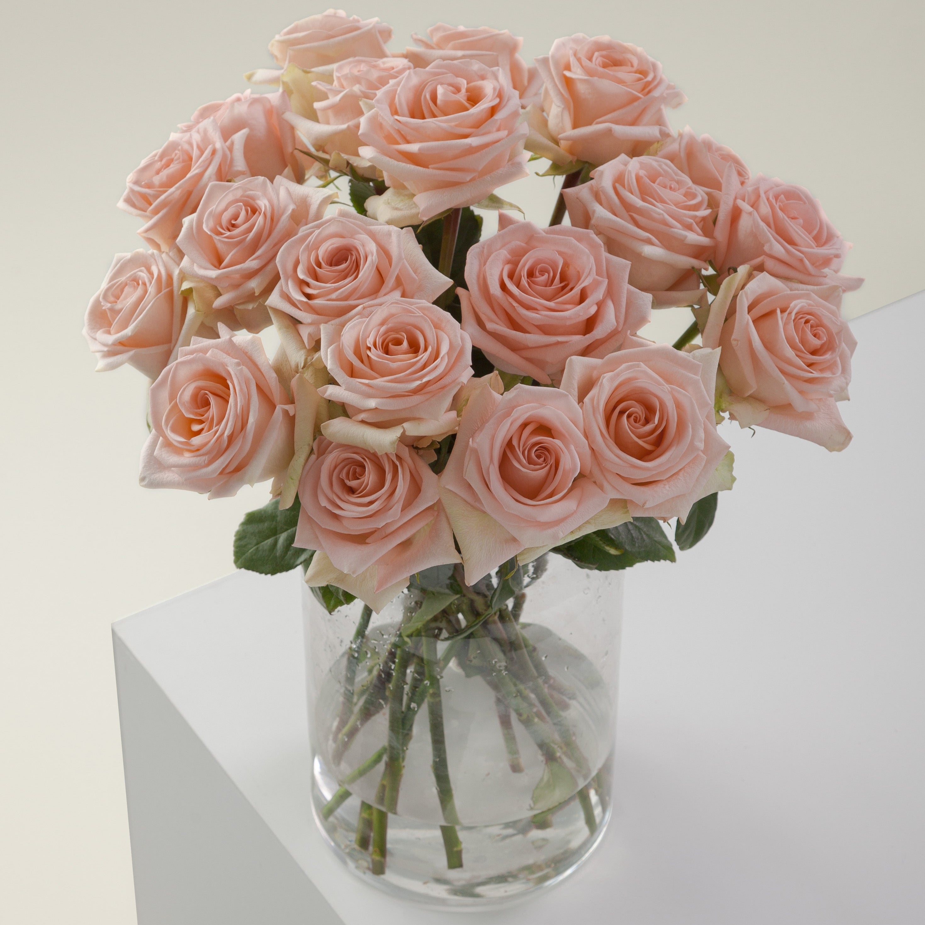Cozy_Peach_in_vase_2939x.jpg?v