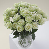 Green Goddess Long Stem Roses