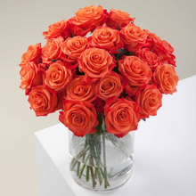 Orange Citrus Long Stem Roses
