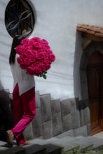 Hot Pink/Magenta Long Stem Roses
