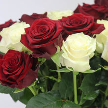 Bouquet of red and white roses with green leaves on a light gray background
