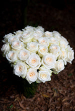 Cream Dazzler Long Stem Roses
