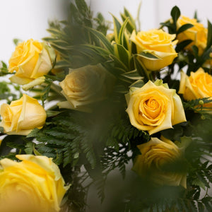 Yellow Bright Long Stem Roses (Exclusive)