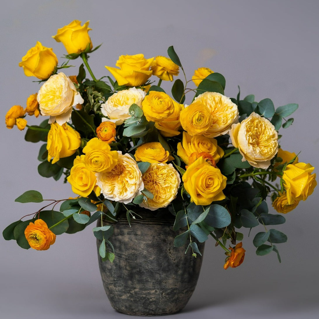 long stem rose seeds Buy Yellow Bright Roses – Rose Farmers