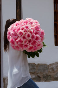 Three Months of Roses