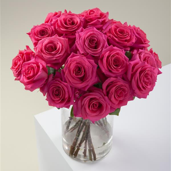 Hot Pink/Magenta Long Stem Roses