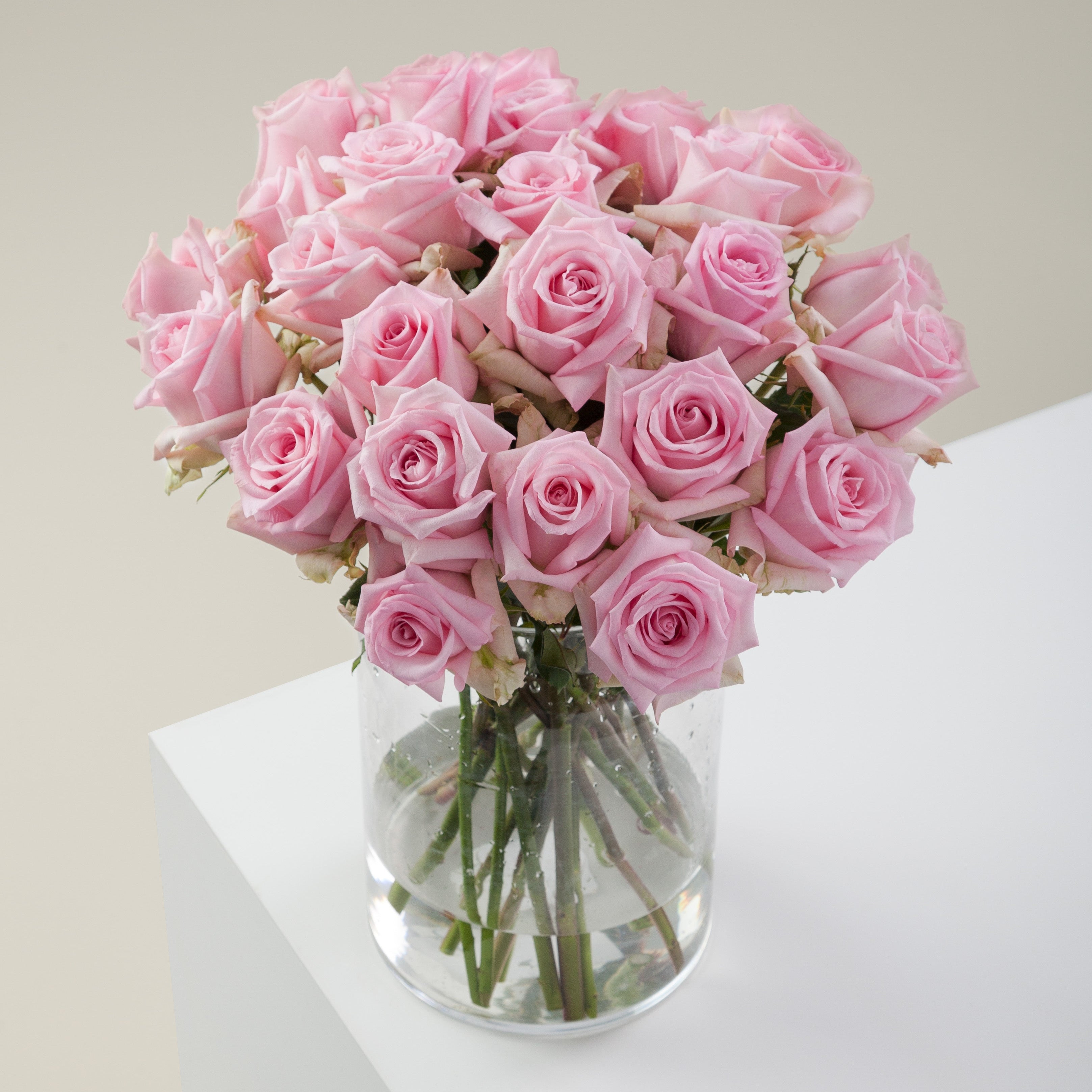 Buy Pink Passion Roses – Rose Farmers