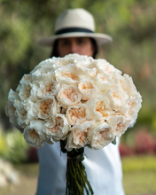 Cream Dazzler Long Stem Roses
