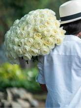 White Pure Long Stem Roses
