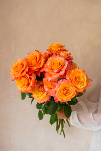 Farmer's Choice Bi-Color Pastel Long Stem Roses