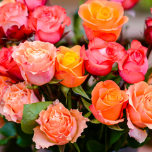 Farmer's Choice Bouquet
