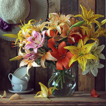 playful mix of our pure white, passionate pink, yellow, and orange  lilies
