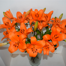 vase of vibrant orange lilies with multiple bulbs
