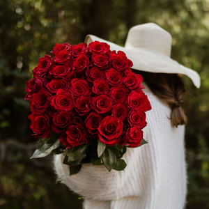 Exclusive: Valentine's Farmer's Choice Roses plus Free Shipping