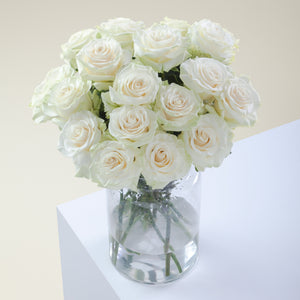 White Pure Long Stem Roses