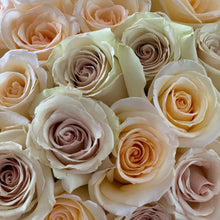 Cream color roses with hints of purple and orange. 
