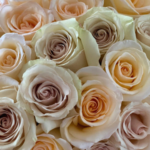 24 Cream Luxury Long Stem Roses