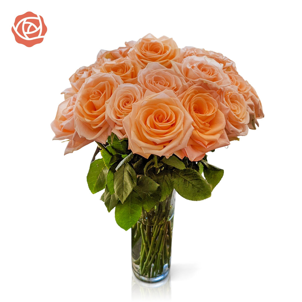 Brad's Deals Exclusive Roses with Free Shipping