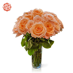 Mother's Day Special 24 Mixed Color Roses (Brad's Deals Exclusive)