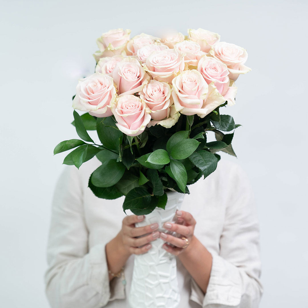 Rose Farmers | Farm Fresh Roses | Buy Quality Roses Direct