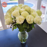 Green Goddess Long Stem Roses