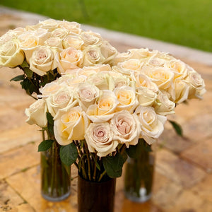 Dev Roses