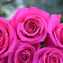 KCL Farmer's Choice 24 Roses Plus Vase (Exclusive Bouquet)