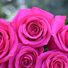 Farmer's Choice 24 Roses (Exclusive Voucher Bouquet)