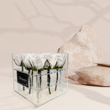 La Trésor | White Preserved Roses