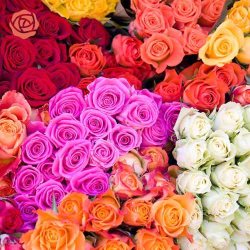 Close up of stacked purple, pink, orange, white, pink, and yellow roses