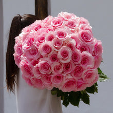 Pink Passion Long Stem Roses
