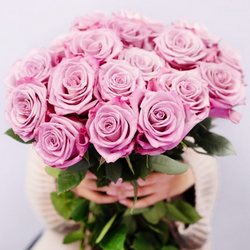 Magenta & Lavender Bi-Color Stunner Long Stem Roses